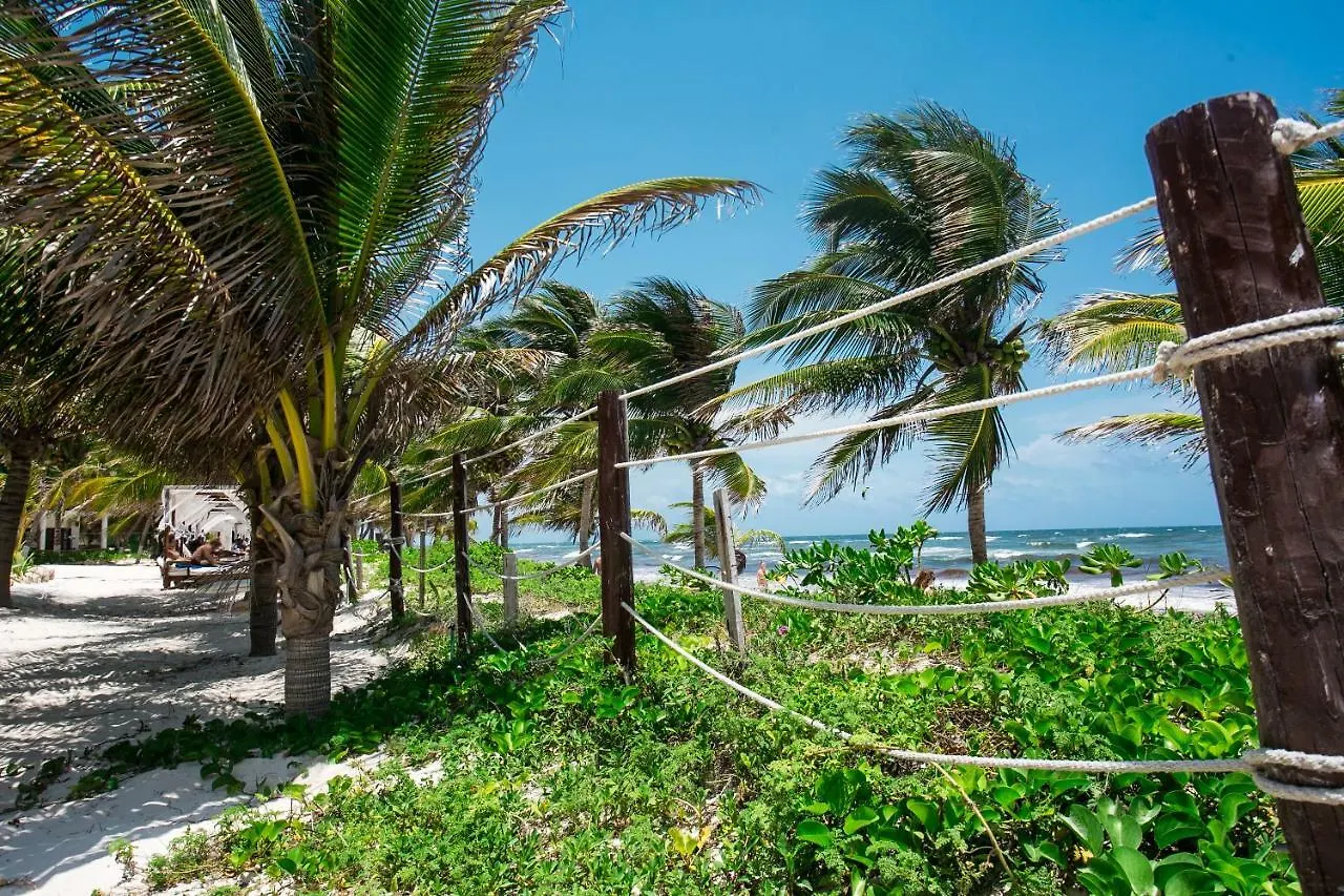 Hotel Cabana Los Lirios Tulum